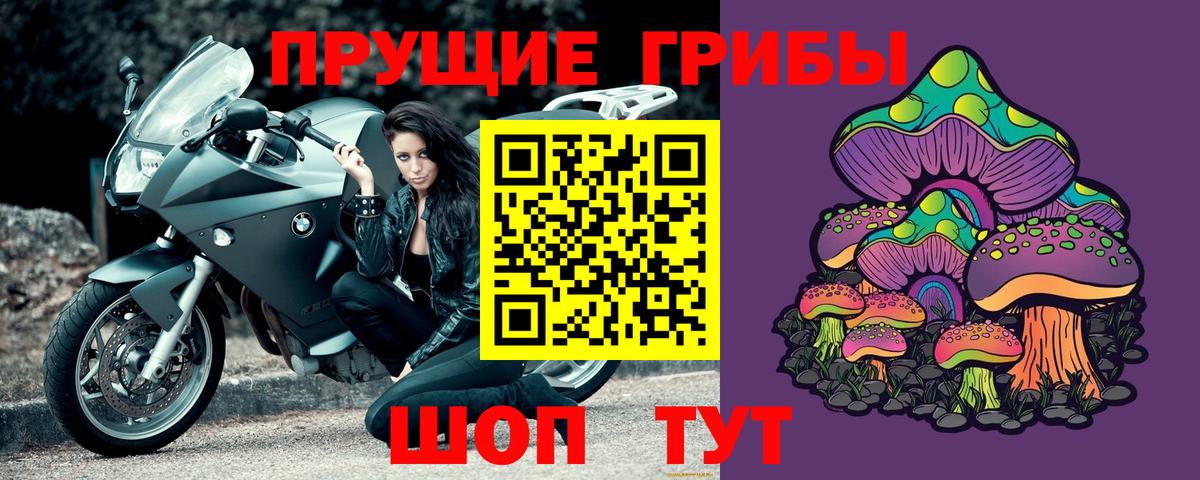 Галлюциногенные грибы мицелий Михайловск