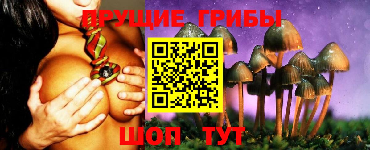 Михайловск  купить наркотик  Вход с VPN  Псилоцибиновые грибы Psilocybe  Галлюциногенные грибы ЛСД 